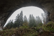 Wonderful bridges