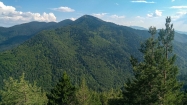 Връх Свещник