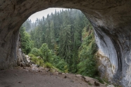 Wonderful bridges