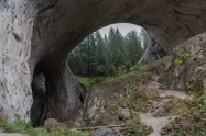 Wonderful bridges