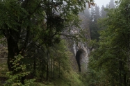 The Small bridge